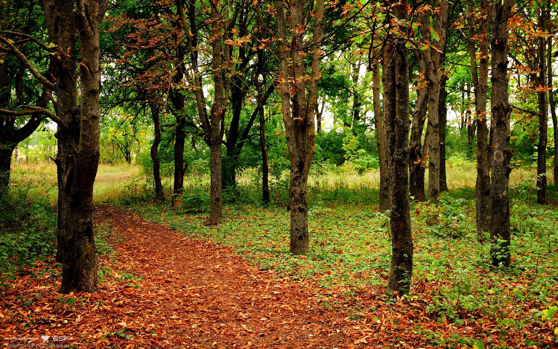 开云官方app入口-班凯罗一剑封喉！北京队横扫新疆，铁血防守铸就王朝基石